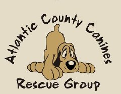 Atlantic County Canines Atlantic County Canines